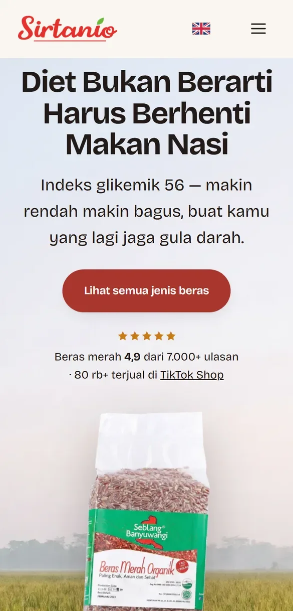 Beranda sirtanio.id di HP