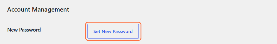 Bagian Account Management di halaman Profile, dengan tombol Set New Password ditandai