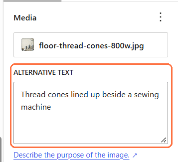 Panel kanan untuk foto yang dipilih, dengan kolom Alternative text ditandai